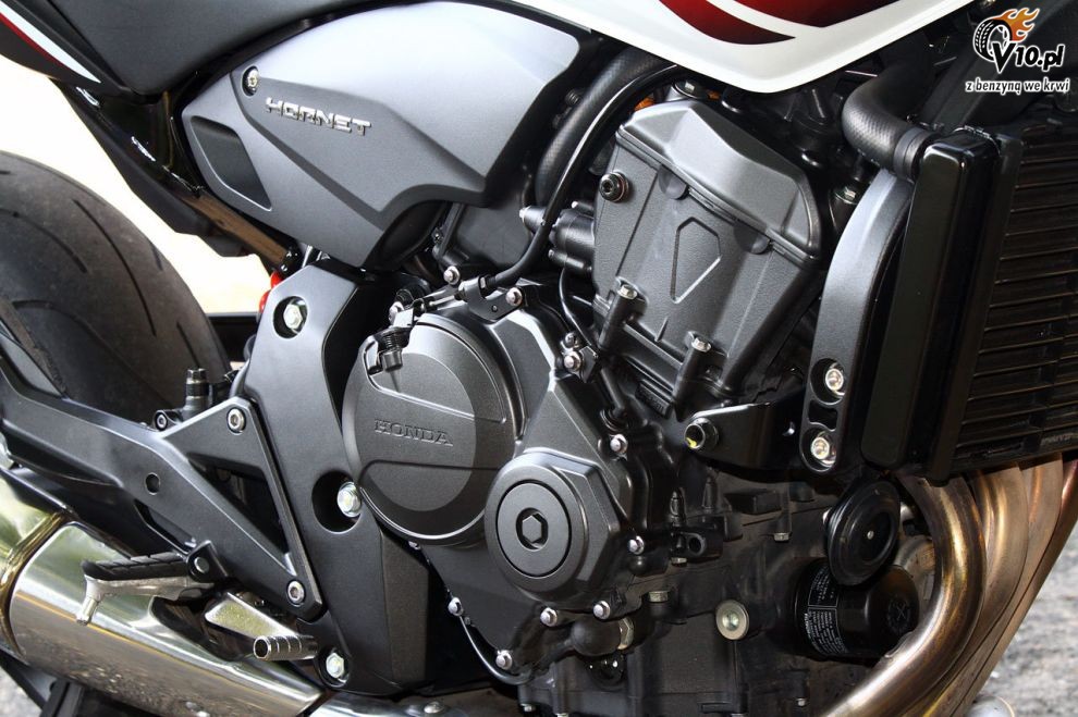 2010 Honda Hornet 600